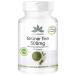 Green tea extract 500mg - 500mg green tea extract per capsule - EGCG - Camellia sinensis - at least 50% polyphenols - vegan - 90 capsules |Herbadirekt by Warnke Vital substances - German pharmacy quality