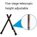 Canes Elderly Telescopic Adjustable Folding Walking Stick Stool Aluminum Alloy Walking Stick Stool with LED Light Lightweight Star of Light - Buy Online on GoSupps.com