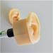 Silicone Ear Model - Simulation Human Body Part Silicone Model Artificial Ear Model - 1:1 Human Ear Model Simulation Display Props Teaching Tool Jewelry Display Earrings - Buy Online on GoSupps.com