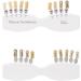 IKSV Mais Dental Teeth Shade Guide - Professional 29 Color Whitening Set with Engraved Numbering for Accurate Shade Tracking - Buy Online on GoSupps.com