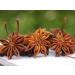 Premium 12oz Whole Chinese Star Anise Pods - Dried Spice (12 OZ) - Buy Online on GoSupps.com