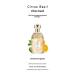 Women's Perfume Flower fruit fragrance Fresh natural lasting Eau de Toilette (Large citrus) 3.4 Fl Oz (Pack of 1) Citrus - Buy Online on GoSupps.com