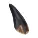 Ox Horn Gua Sha Scraping Board - Anti-Cellulite Massage Tool for Neck Waist & Legs | International Shipping Available - Buy Online on GoSupps.com