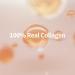 100% French Collagen Face Moisturizer | Anti-Aging Cream for Smooth Skin & Reduced Wrinkles | Day & Night Formula - Shop Internationally - Buy Online on GoSupps.com