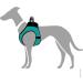 HUNTER HILO COMFORT Harness for Small Dogs - Turquoise XXS-XS | Mesh Material & Reflective Elements for Safety - Buy Online on GoSupps.com