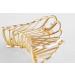 YooWoo Metal Hair Claw Clips 3 Pcs - Large Hair Catch Barrette for Thick Hair - Buy Online on GoSupps.com