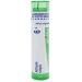 Boiron Allium Cepa 6X for Runny Nose with Clear Discharge - 80 Pellets