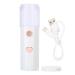 30Ml Nano Facial Sprayer Face USB Rechargeable Portable Facial Moisturizer Sprayer (White)