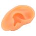 Simulated Left Ear Mould - Lifelike Fake Ear Model for Hospital Education - Buy Online on GoSupps.com