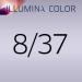 Wella Illumina Color Permanent Hair Color No. 8/37 Light Gold Brown Blonde 60ml - Pack of 1 - Buy Online on GoSupps.com