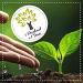 Biotiva Buckwheat Peeled Organic 1kg - 100% Natural - as a Garnish for Vegetables Salads and soups - Certified and Bottled in Germany - Buy Online on GoSupps.com