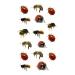 SanerLian Bee Ladybug Temporary Tattoo Stickers - Set of 12 | Waterproof Cartoon Fake Tattoos for Kids | Ideal for Hand, Arm, Party Favors - Buy Online on GoSupps.com