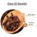 Salvia Clove Oil (Syzygium aromaticum) 100% Pure & Natural Undiluted Uncut Essential Premium Aromatherapy Oil - 30ml with Dropper Clove 30ml with dropper - Buy Online on GoSupps.com
