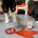 PetWineShop Cat Wine Pawty Pack - Catnip Wine Set for Cats & Kittens - Buy Online on GoSupps.com