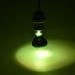 E27 Reptile Heat Bulb Infrared Heating Light Bulbs 25/50/75/100W UV Tortoise Turtle Light Beneficial UVA Basking Lamp Heat Bulb(25W Green) 25w Green - Buy Online on GoSupps.com