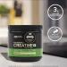 SENTA Maruti Blog Optimum Nutrition (ON) Micronized Creatine Powder - 250 Gram 83 Serves 3g of 100% Monohydrate per Serve Supports Athletic Performance & Power Unflavored 8.8 Ounce (Pack 4) - Buy Online on GoSupps.com
