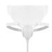 Portable Silicone Condom Catheter & Urine Collector for Men & Women Self-Catheterization Solutions for Elderly - Buy Online on GoSupps.com