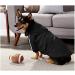 Ducomi 100% Cotton Dog Sweatshirt | Warm Monochrome Coat for All Breeds | Sizes XS to 9XL (Black 2XL) - Buy Online on GoSupps.com