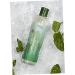 EDEN BodyWorks Peppermint Tea Tree Clear Clarifying Shampoo | 8 oz - Prevent Dandruff, Refresh Scalp, Remove Build Up | Packaging May Vary - Buy Online on GoSupps.com