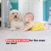 Urine Gone Pet Stain Remover & Odor Eliminator - Heavy Duty Carpet Cleaner - Enzyme Fabric Spray for Dog & Cat - 24 Fl Oz - Buy Online on GoSupps.com
