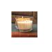 The Candle Cottage DM111 Medium DUOS Dual Fragrance Candles - Decadent Pumpkin/Cinnamon Spice - Highly-Scented Soy Candle Made in USA Long Burning Hours Lead-Free Wick 12 oz