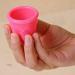 100% BPA-Free Silicone Menstruation Cup | Economic & Eco-Friendly Alternative to Pads & Tampons - Heathgoodsau - Buy Online on GoSupps.com