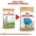 Royal Canin Pug Puppy Complete Dry Dog Food 1.5kg - Buy Online on GoSupps.com