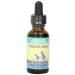Herbs for Kids Nettles & Eyebright, Liquid, Unflavored (Btl-Glass) | 1oz