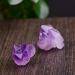 50/100g Natural Amethyst Raw Quartz Small Cluster Reiki Stone Crystal Point Specimen Home Decor Raw Crystals - Crystal Cluster (Color : Random delivery Size : 100g) 100g Random delivery - Buy Online on GoSupps.com