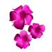 NEW Pink Foam Plumeria Flower Hair Clip Set of Three