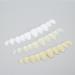 3-Part Temporary Dentures Set | Quick Fix for Missing Teeth | Ideal for Men & Women | Durable & Comfortable Replacement Solutions - Buy Online on GoSupps.com