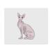 2 x "Sphynx Cat" microfiber lens/glasses cleaning cloths (LC00023903)