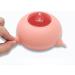 Zerodis Pet Silicone Feeder with 3 Nipples for Newborn Pets - Kittens & Puppies Feeding Bowl - Buy Online on GoSupps.com