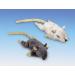 Nobby Plush Mouse - Light Brown 14.5 cm | Safe & Soft Toy for Pets | International Shipping Available - Buy Online on GoSupps.com