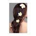 12 Pieces Yellow Hawaii Frangipani Foam Flower Hair Clips - 2.4 for Weddings & Beach Decor - Buy Online on GoSupps.com