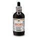 Noni (Morinda Citrofol) Dried Fruits ALCOHOL-FREE Liquid Extract Glycerite 120 ml 120 ml (1 pack)