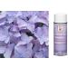 Design Master 762 Garden Hyacinth - Vibrant Floral Spray for Home Decor - Buy Online on GoSupps.com