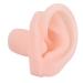 Left Human Ear Model Ear Model Silicone for Ear Exercises for Students for Doctors for Shop Window Display