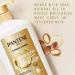 Pantene Pro-V Sulfate Free Hydration Conditioner with Argan Oil - 38.2 fl. oz - Buy Online on GoSupps.com