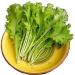 Fresh Saag Leaves Bunch | Single Bunch | Mustard Leaves | Sarso Ka Saag Leaf | Green leafy | Spinach | Broad leaves | Approx 200G - Buy Online on GoSupps.com
