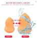 Makeup sponge beauty blender latex free makeup sponge vegan makeup sponge foundation makeup sponge makeup sponge Makeup sponge with mirrored lid and container. - Buy Online on GoSupps.com