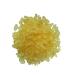 DX ROOMI MASTGI PISTACIA LENTISCUS (25 Gms)