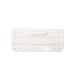 Easyinsmile Dental Orthodontic Bracket Trays Holder - 25 Pcs Disposable Ortho Supply (White) - Buy Online on GoSupps.com