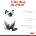 Royal Canin Kitten Dry Food 400g Poultry 400 g (Pack of 1) - Buy Online on GoSupps.com