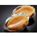 WENXUANSU: 2 Pound(908 grams)Vacuum packaged conch abalone snack from China Sea - Buy Online on GoSupps.com