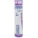 Boiron Eupatorium Perfoliatum 1M for Stiffness & Bone Pain Associated with Flu Symptoms - 80 Pellets