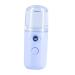 BIUDECO 1pc Portable Humidifier Plastic Humidifier Face Mist Sprayer Creative Humidifier Beauty Tool Skin Moistener Beauty Sprayer Spray Humidifier Women Humidifier Face Humidifier 14.5X4CM Blue