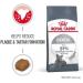ROYAL CANIN Oral Care Dry Cat Food 400g (Pack of 2) - Buy Online on GoSupps.com