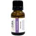 Immune & Focus Essential Oil Blend Bundle with Diffuser (15ml Each) - Lacura - Buy Online on GoSupps.com