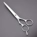 LLYLIKE Craft Scissors Hairdressing Scissors 6 Inch Hair Scissors Professional Barber Scissors Cutting Thinning Styling Tool Hairdressing Shear Salon - Buy Online on GoSupps.com